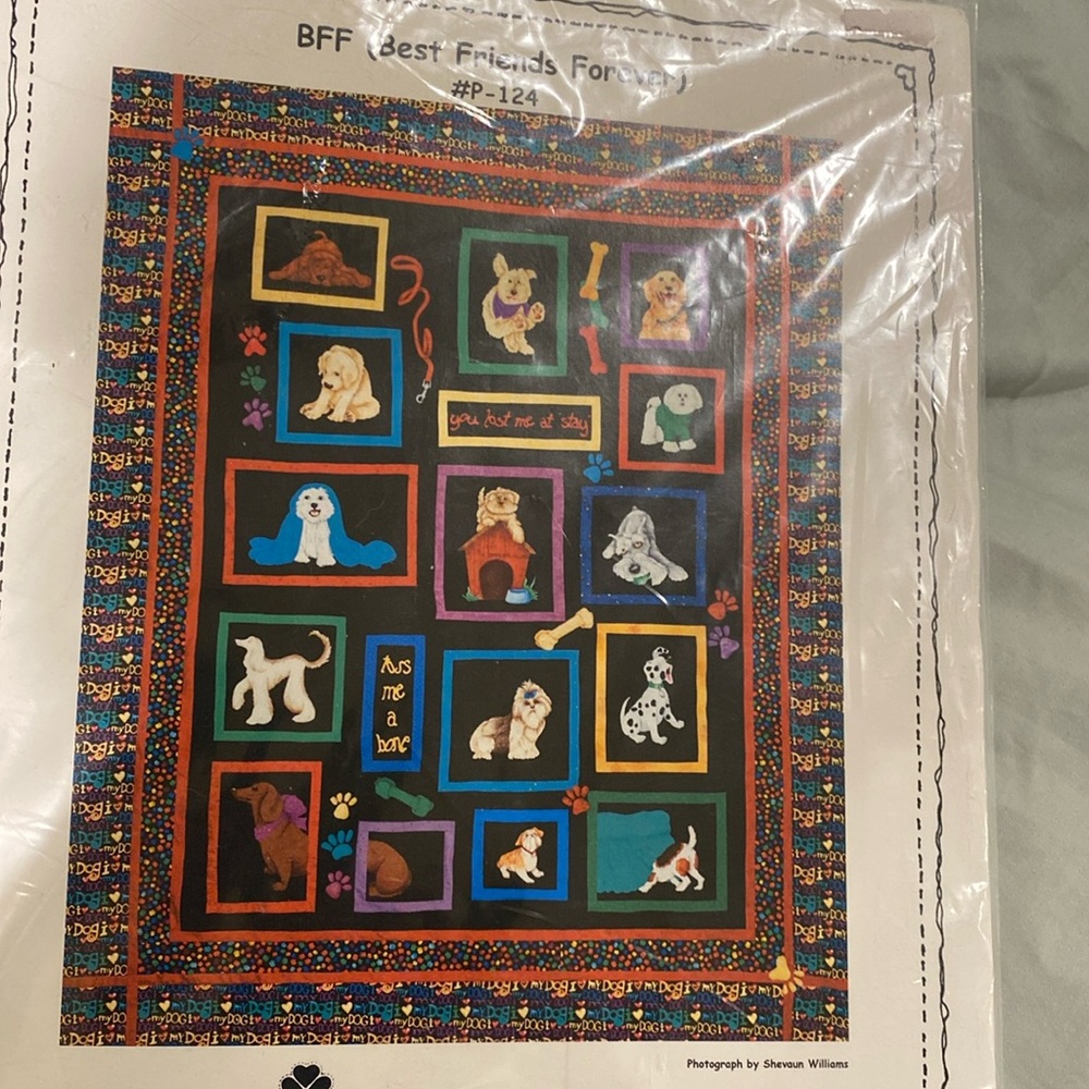 Quilt pattern. “ Best friends forever” from With Needle and Thread